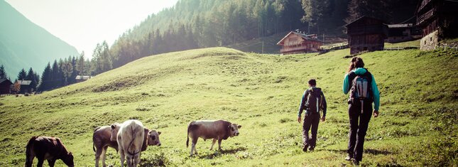 Val di Sole - Val di Rabbi - Trekking