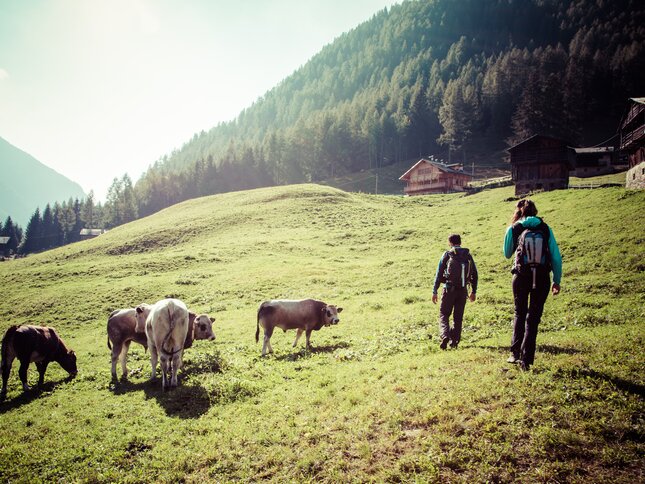 Val di Sole - Val di Rabbi - Trekking