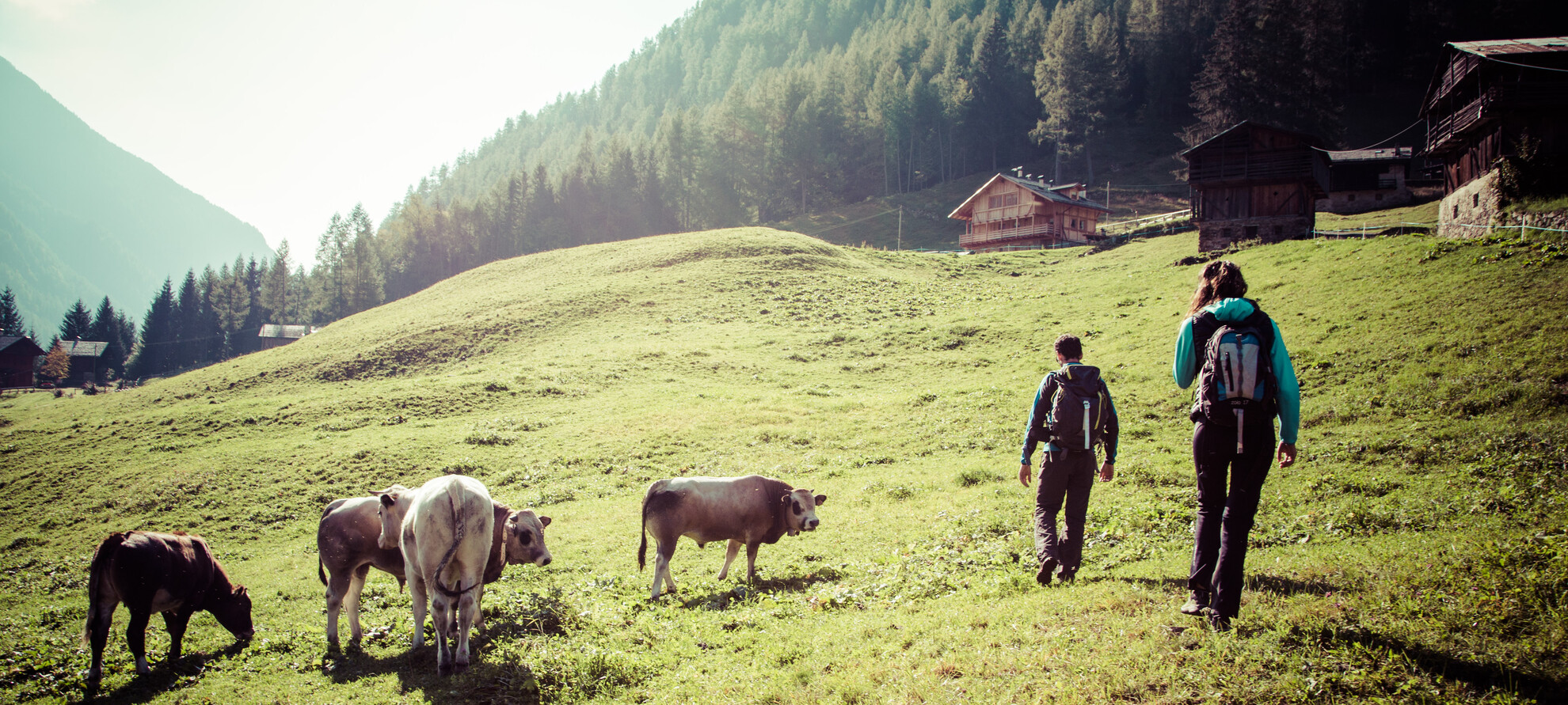 Val di Sole - Val di Rabbi - Trekking