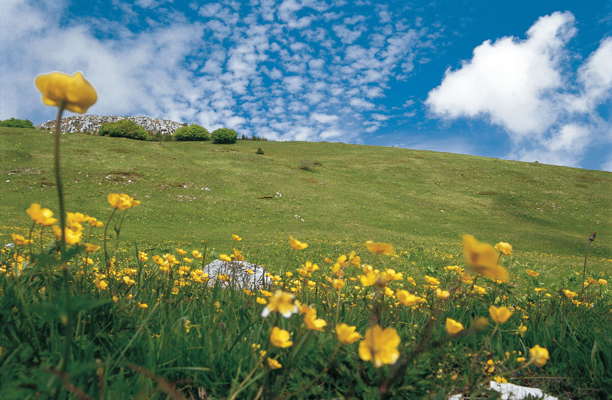 Monte Bondone - Guide - Sightseeing