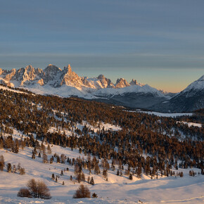 Bellamonte-Alpe Lusia 