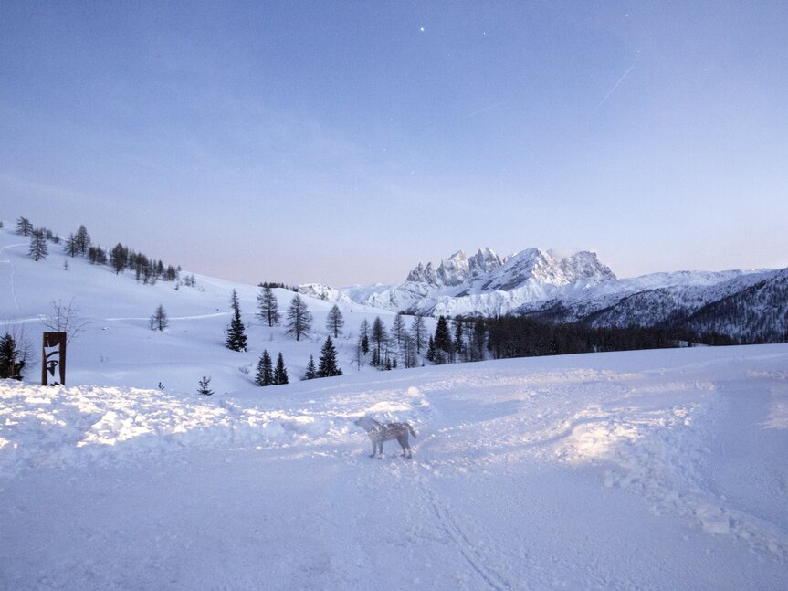 Reservatnetz - Val di Fassa