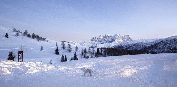 Val di Fassa - Passo San Pellegrino - Fuciade - Panorama 
