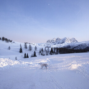 Val di Fassa - Passo San Pellegrino - Fuciade - Panorama 
