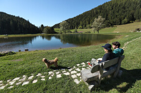 Val di Non - Ruffr? - Relax con cane ai Laghetti dei masi di Ruffr