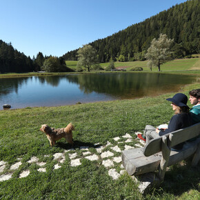 Val di Non - Ruffr? - Relax con cane ai Laghetti dei masi di Ruffr