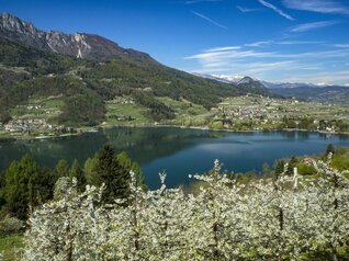 Caldonazzosee, Hotel direkt am See