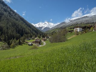 Val di Sole - Val di rabbi - Panorama
