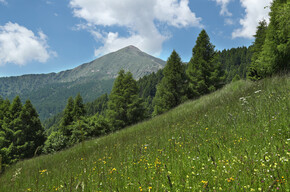 Valsugana - Roncegno Terme - Rifugio Serot
