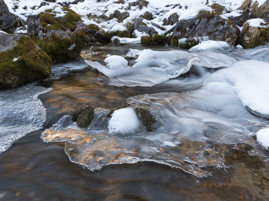 Campiglio - Vallesinella - Torrente
