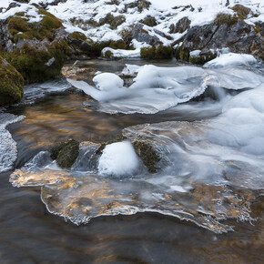 Campiglio - Vallesinella - Torrente
