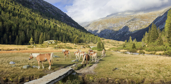 Valle del Chiese - Val di Fumo - Rifugio Val di Fumo
