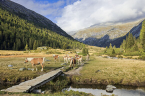 Valle del Chiese - Val di Fumo - Rifugio Val di Fumo
