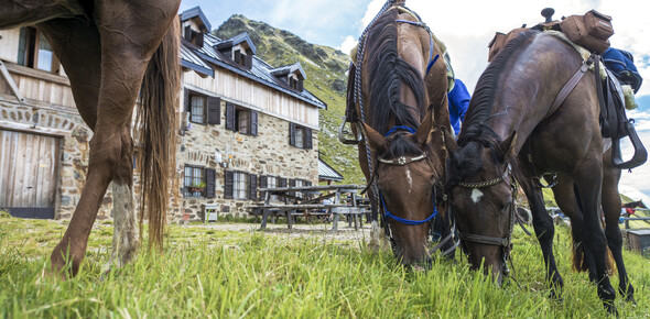 Val di Rabbi - Rifugio Stella Alpina al lago Corvo
