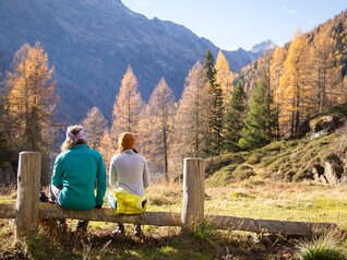 Val di Sole - Pian Pal?
