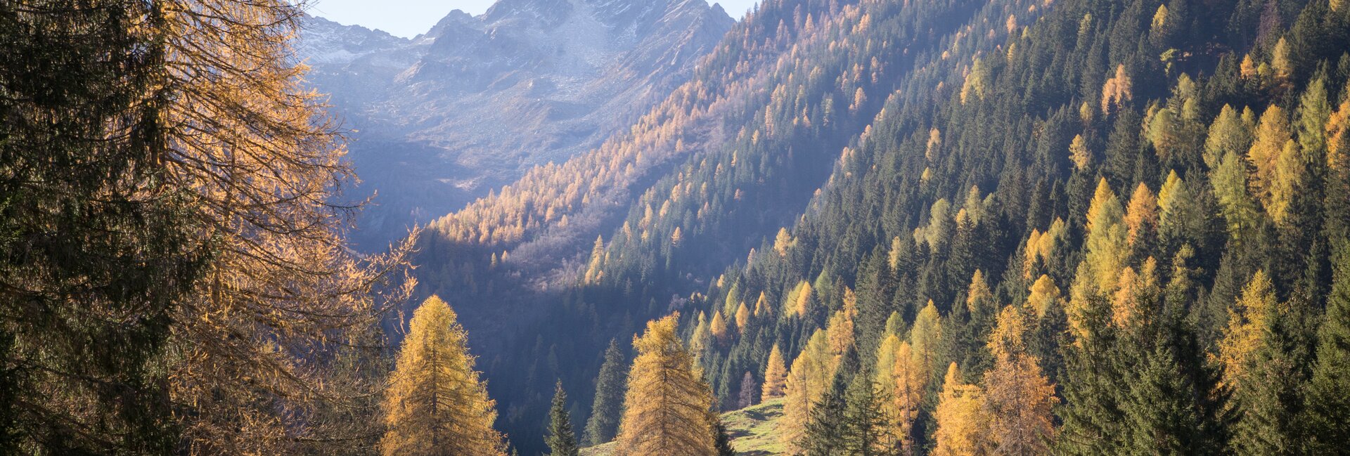 Stelvio National Park