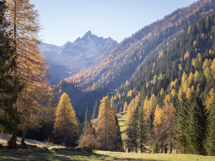 Stelvio National Park