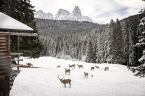 Paneveggio-Pale di San Martino Nature Park