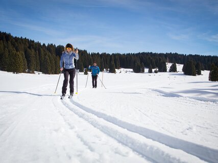 Alpe Cimbra - Luserna - Millegrobbe - Malga Millegrobbe
