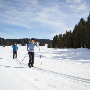 Alpe Cimbra - Luserna - Millegrobbe - Malga Millegrobbe
