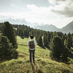 Val di Fiemme - Malga Canvere
