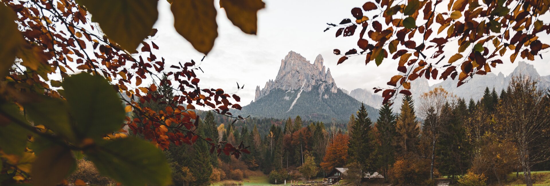 San Martino di Castrozza - Fiera di Primiero - Lago Welsperg
