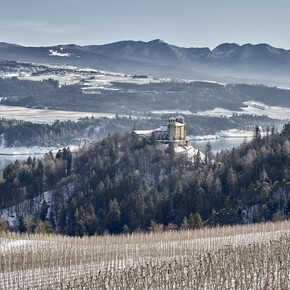 Val di Non - Castel Cles - Panorama invernale
