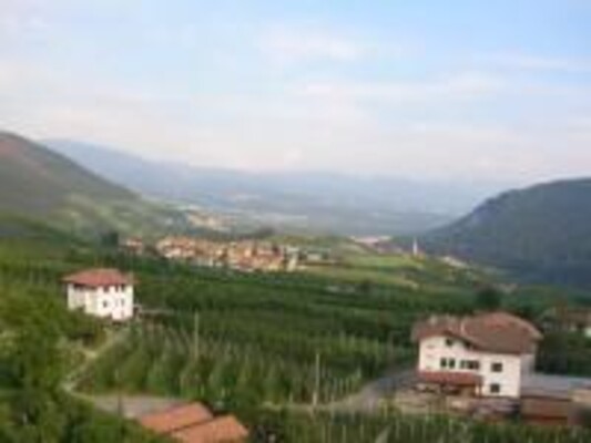 Agritur Monte Pin - The landscape