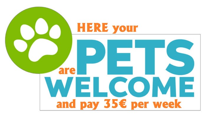 BANNER PETS WELCOME 2024