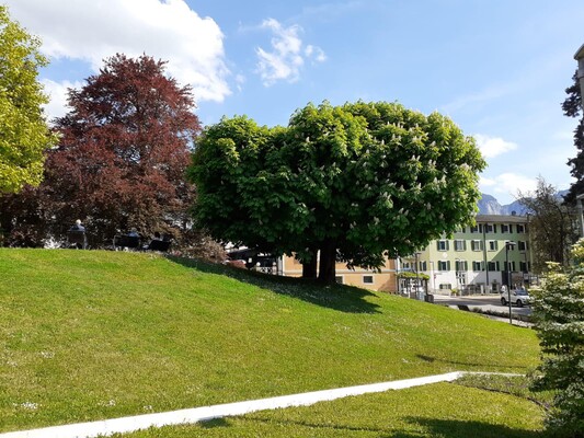 terme e  hotel concordia