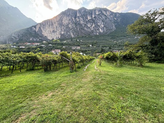 casa nella vigna riva del garda 13