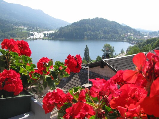 panorama dal balcone mansarda