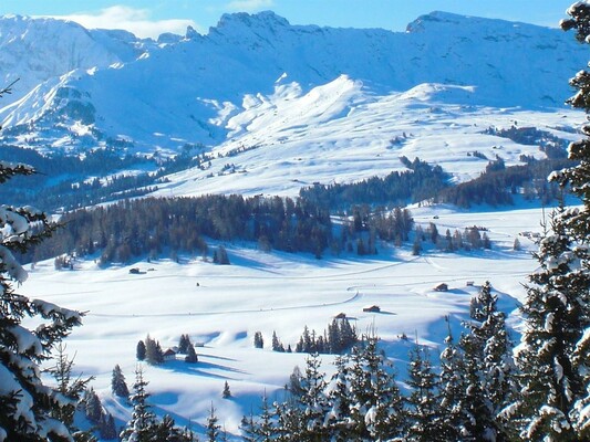 paesaggio invernale