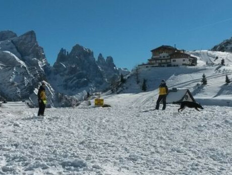 Sulla Neve con i Cani da Valanga