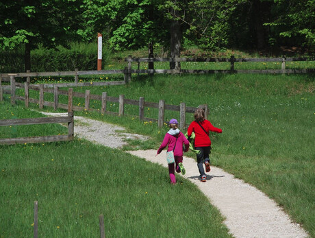 Nonni e Nipoti al Parco