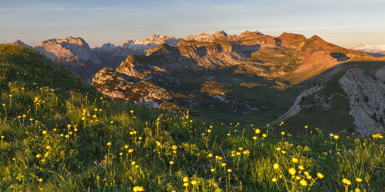 Den Frühling im Trentino genießen: Von kulinarischen Radtouren und dem Sichten einzigartiger Blumen #1