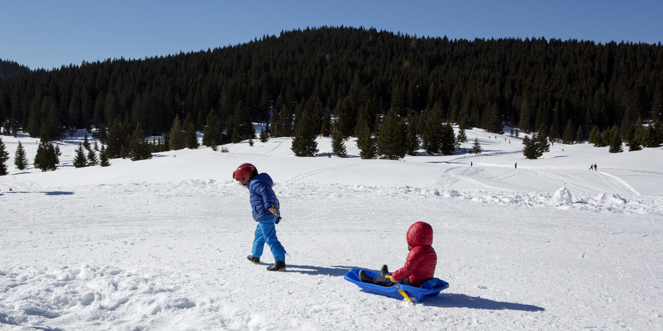 Winterspaß abseits der Pisten beim Rodeln im Trentino  #1