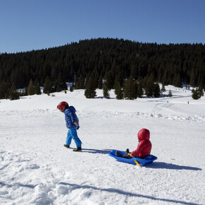 Winterspaß abseits der Pisten beim Rodeln im Trentino 