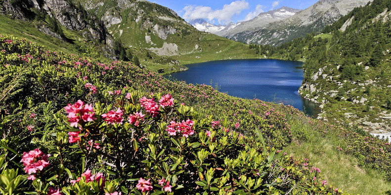 Facettenreiches Wasservergnügen im Trentino #1