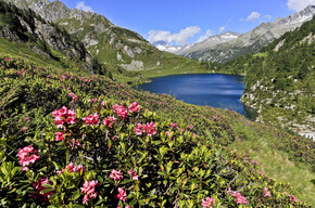 Facettenreiches Wasservergnügen im Trentino