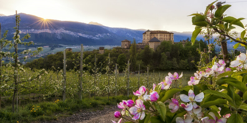 LENTE IN DE NATUUR VAN TRENTINO  #1