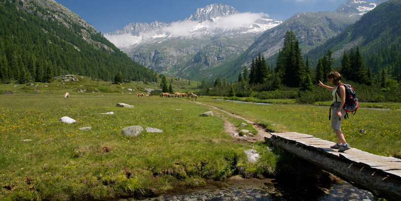 THE GREEN GOLD OF TRENTINO IS BIODIVERSITY #2