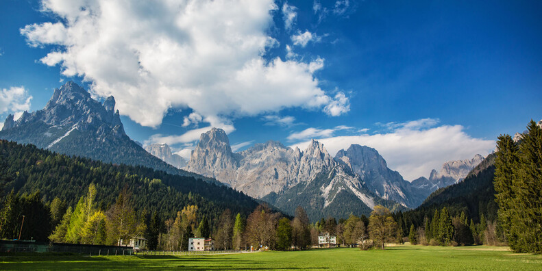 THE GREEN GOLD OF TRENTINO IS BIODIVERSITY #3