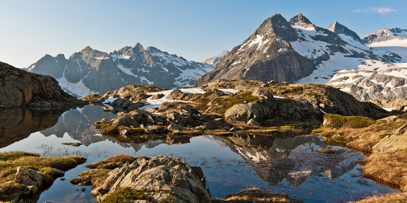 THE GREEN GOLD OF TRENTINO IS BIODIVERSITY #1