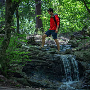 Waldbaden, Meditation und Wellness für Natururlauber