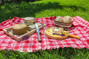 Sommerzeit ist Picknick-Zeit: Ob auf den Wiesen, dem Wasser oder in den Weinbergen