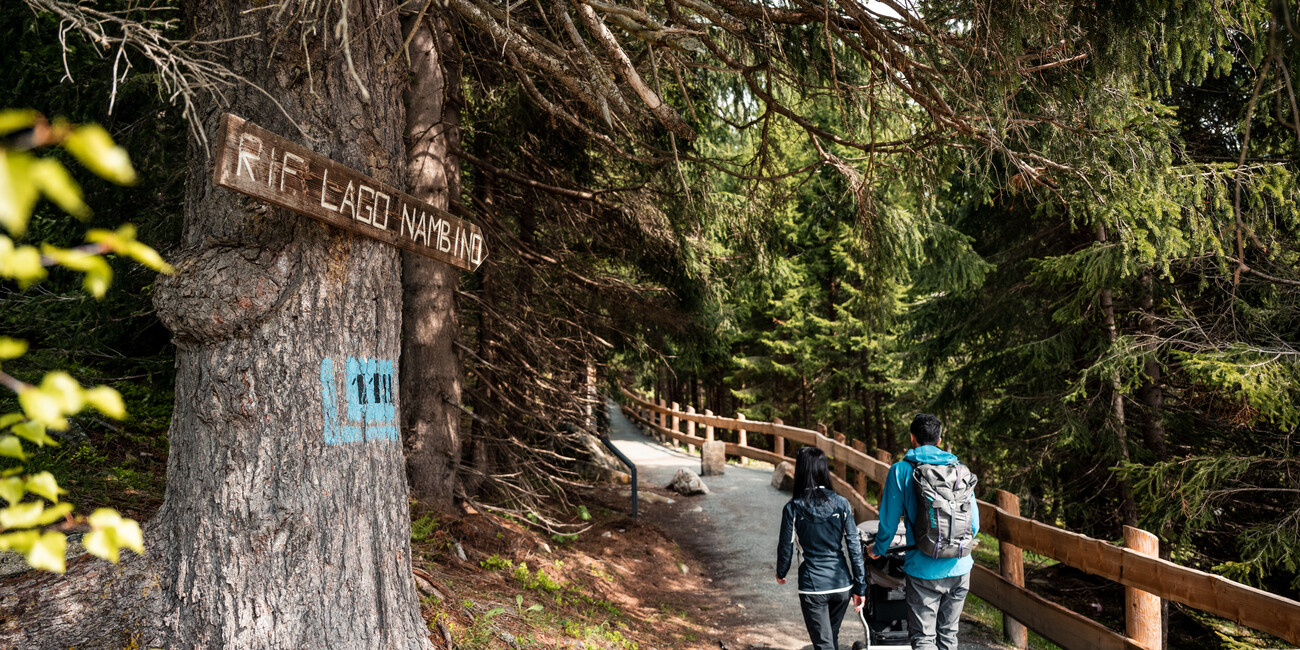 WANDELEN ZONDER BARRIÈRES: NIEUWE TOEGANKELIJKE BERGPADEN IN TRENTINO #1