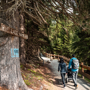 WANDELEN ZONDER BARRIÈRES: NIEUWE TOEGANKELIJKE BERGPADEN IN TRENTINO