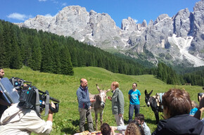 L'estate nelle Dolomiti trentine a Sereno Variabile