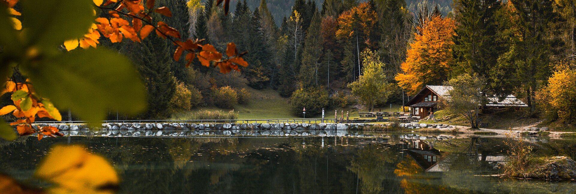 Paneveggio-Pale di San Martino Nature Park